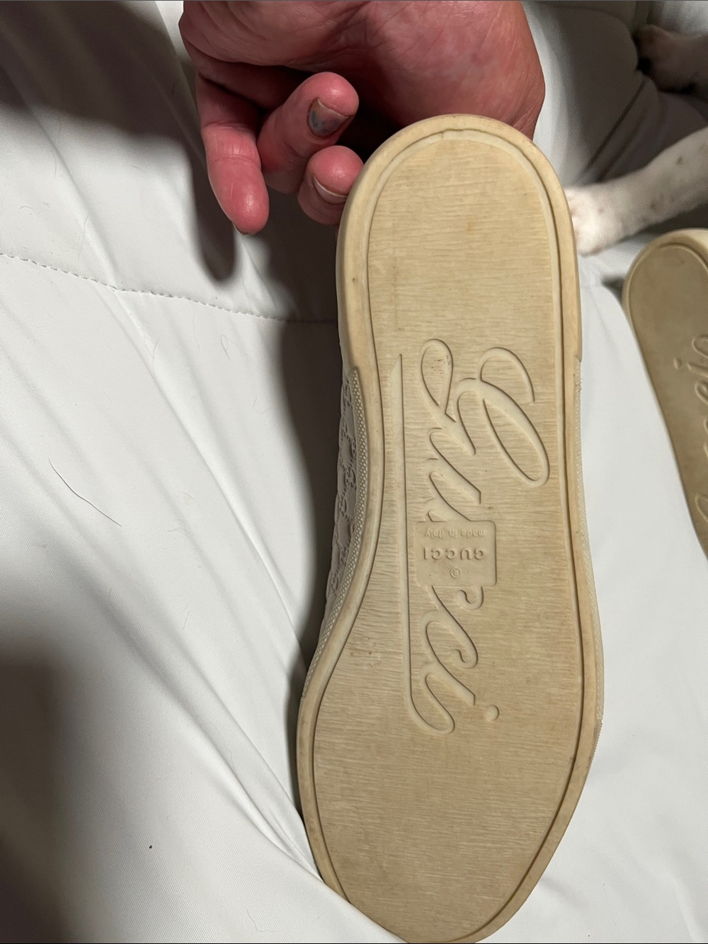 Gucci Women's Cream Lace-Up Sneaker - Cream - Picture 1 of 7